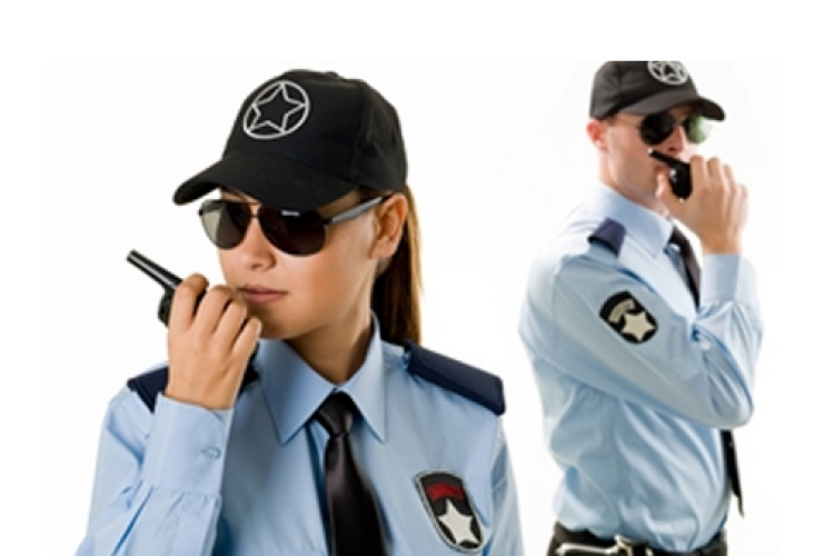 Security Guards & Other Security Services